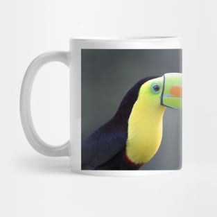 Keel-billed Toucan - Costa Rica Mug